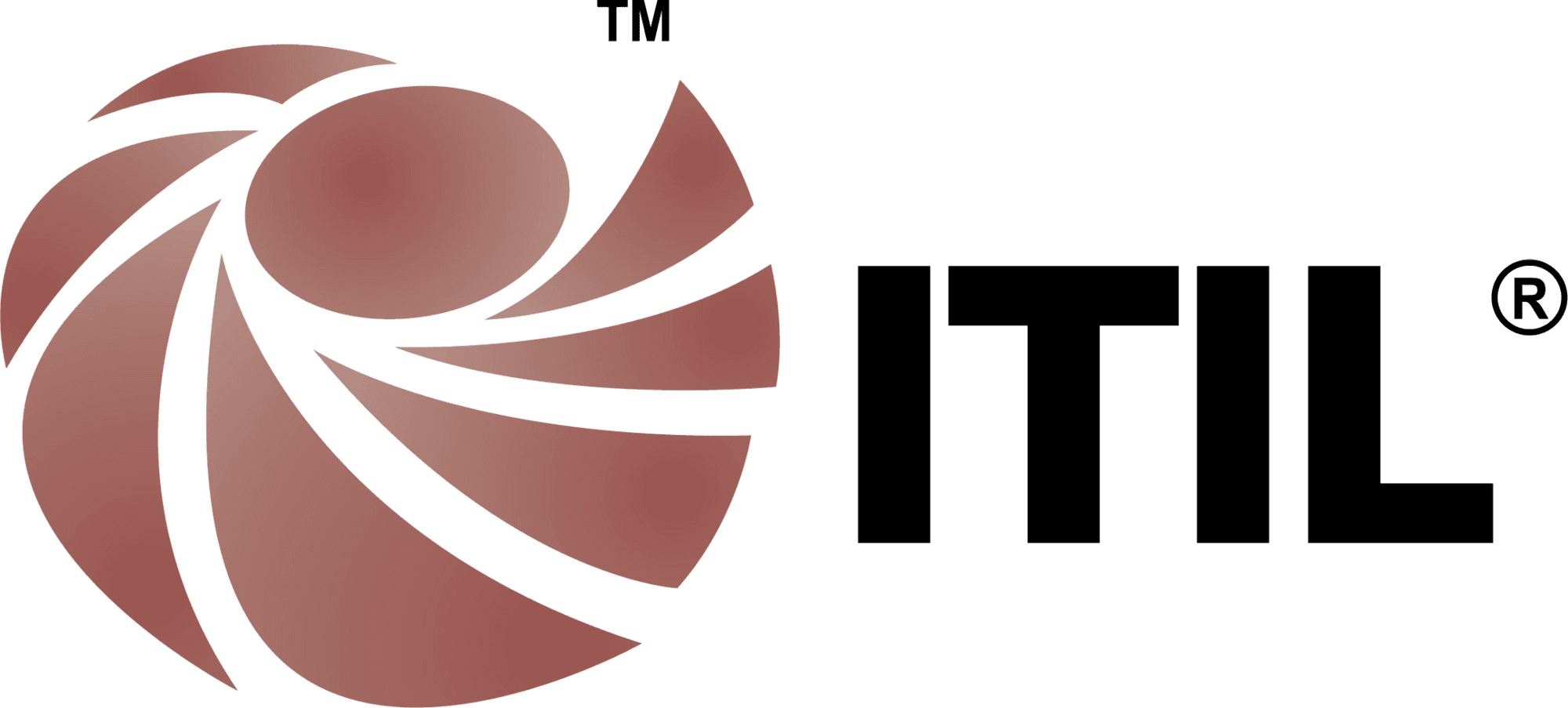 IT Service Management (ITIL) icon