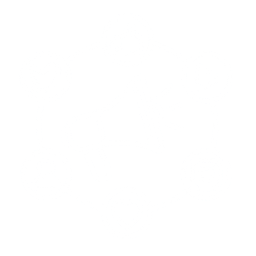 Social Media Marketing icon